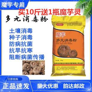 魔芋多元消毒粉种子土壤消毒预防软腐病白绢病杀菌魔芋专用膨大素
