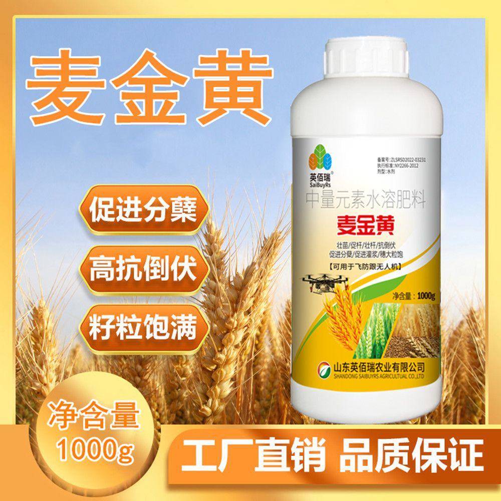 小麦增产叶面肥返青分蘖宝灌浆矮壮素控旺药麦黄金非复合水溶肥料