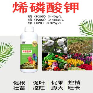 烯磷酸钾叶面肥稀磷酸钾控旺西磷高磷钾肥希磷柑橘荔枝控梢促花素