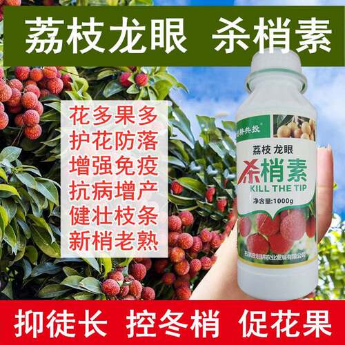 荔枝控梢促花素杀梢素果树控梢药杀冬梢促花素利花龙眼树专用肥料