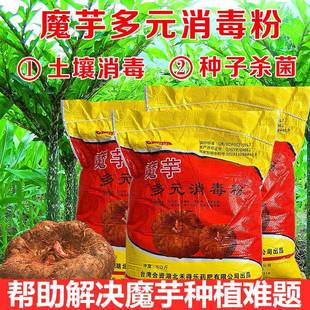 魔芋多元消毒粉种子土地消毒保存防病杀菌预防魔芋软腐病白娟病