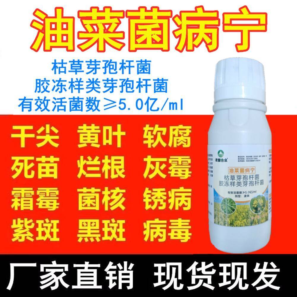油菜病菌清 专用药 微生物杀菌剂 根腐肿菌核霜霉白锈粉病 防病药