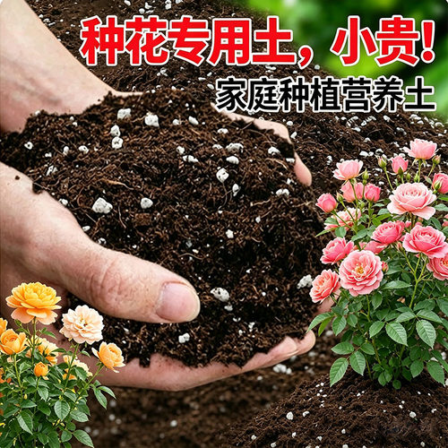 种花专用土种菜多肉营养土有机椰糠家庭种植土疏松透气阳台种植土