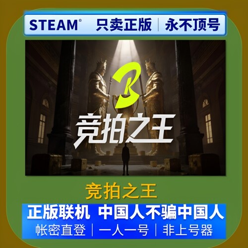 BidKingSteam游戏账号租号联机