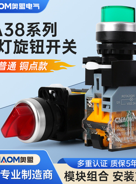 LA38-11XD/2 LA38-20XD/3带灯旋钮 带灯旋钮开关 一开一闭