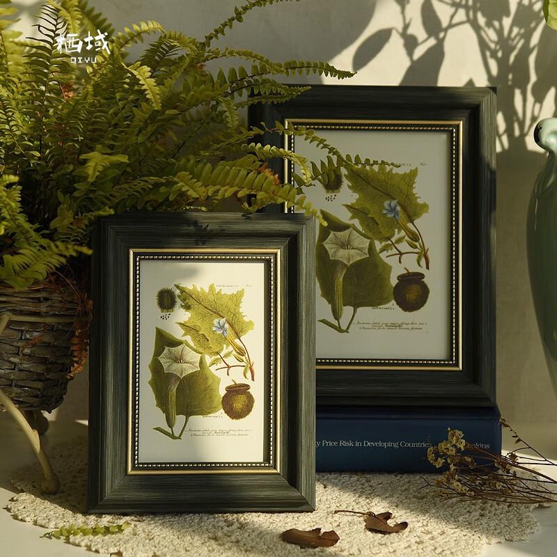 栖域(QIYU)欧式相框摆台5寸A4复古情侣照片家居组合花草绿6寸(照