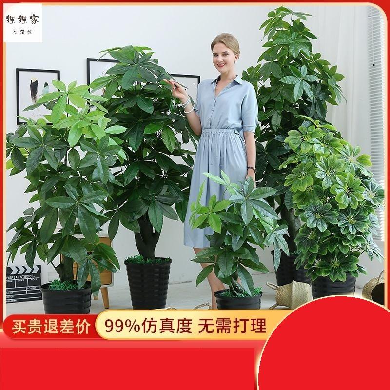 仿真塑料发财树大棵植物室内