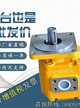 济南泉城液压齿轮泵CBGJ2032/2040/2050/2063/2080/2100规格齐全