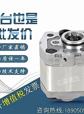 意大利Hydronit齿轮泵E60604001/4002/4004/4005/4006/4007/4035