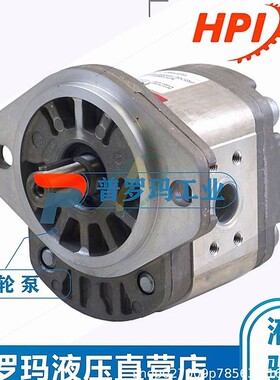 法国进口HPI 进口高压油泵 P1BAN2022BL10B02N齿轮泵法国进口油泵