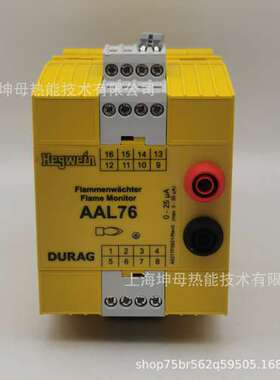 海格文(Hegwein)火焰控制器AAL 76 POI/000