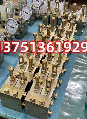 MVB12-K递进式分配器 BIJUR贝奇尔