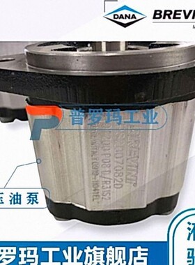 BREVINI油泵OT200P08D/P28P2 G28 B25B2 B23 B25B4 B5 B24B6 B7