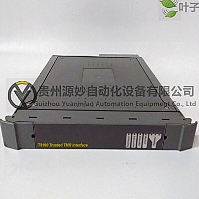 ICS TRIPLEX T8461数字量输入模块