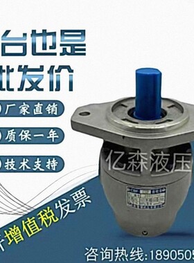 阜新齿轮泵CB-B160/200/250/350/400/500/550/600/700/1000/1500