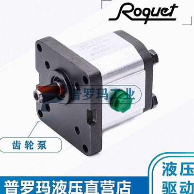 西班牙ROQUET齿轮泵1LG6DK09S 1LG24DK09S 1LG27DK09G液压泵国产