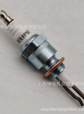 Eclipse 12392火花塞美国天时点火电极