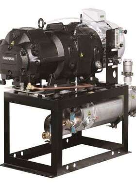 神港精机SHINKO SEIKI 干式真空泵（螺杆式）SST/SSX系列 SST100