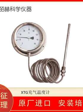 意大利TERRANOVA SPRIANO DS-XTG充气温度计 变送计