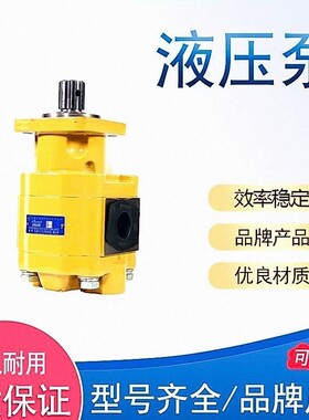 HCHC长源液压齿轮油泵 CBGTC 铸铁齿轮泵 合肥长源液压齿轮油泵