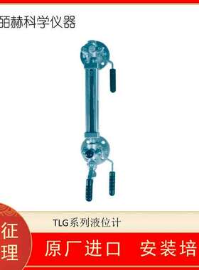 意大利TERRANOVA SPRIANO DS-TLG系列液位计