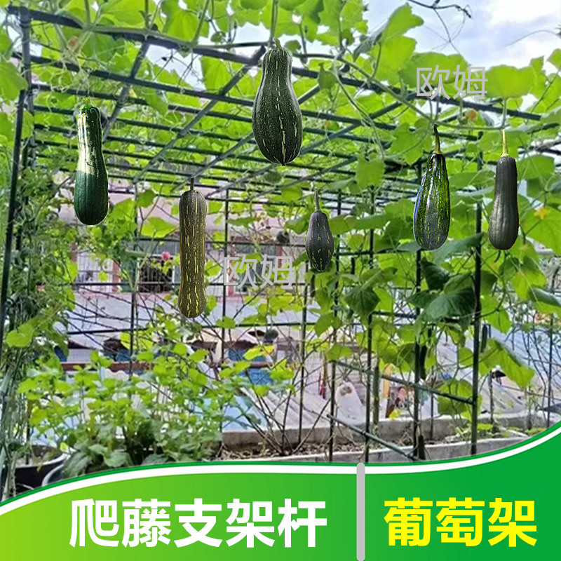 葡萄架爬藤植物支撑杆百香果黄瓜豆角庭院室外包塑钢管月季攀爬架