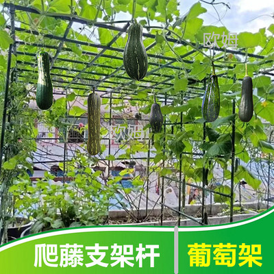 葡萄架爬藤植物支撑杆百香果黄瓜豆角庭院室外包塑钢管月季攀爬架