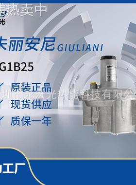 FG1B25燃气稳压阀朱丽安尼GIULIANI原装调压阀燃烧机配件供应商