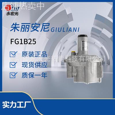 FG1B25燃气稳压阀朱丽安尼GIULIANI原装调压阀燃烧机配件供应商