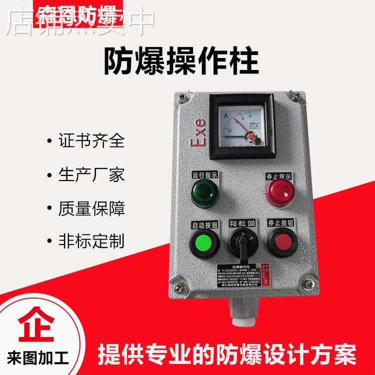 防爆操作控制箱防腐按钮箱两灯两钮一表防水防尘立式挂式IIB