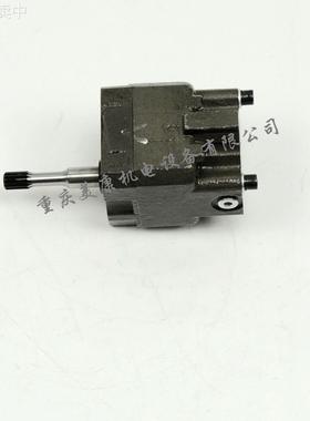 3034213 齿轮泵总成1.25in 右转内回油 喷油器 燃油泵 油杯