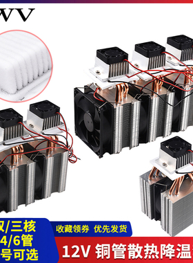 半导体制冷片12v温差电子制冷器diy小冰箱小空调降温龙猫套件成品