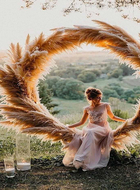 15 pieces Natural Dried Pampas Grass Phragmites Communis Ree