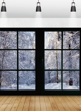 Laeacco Winter Backdrops Wood Window Scenery Snow Forest Tr