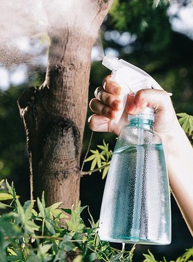 500ml Spray Bottle Water Cans For Succulents Potted Plants