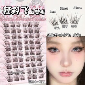 清透轻斜飞！狐系超自然假睫毛女2025新款仿真韩系女团太阳花单簇