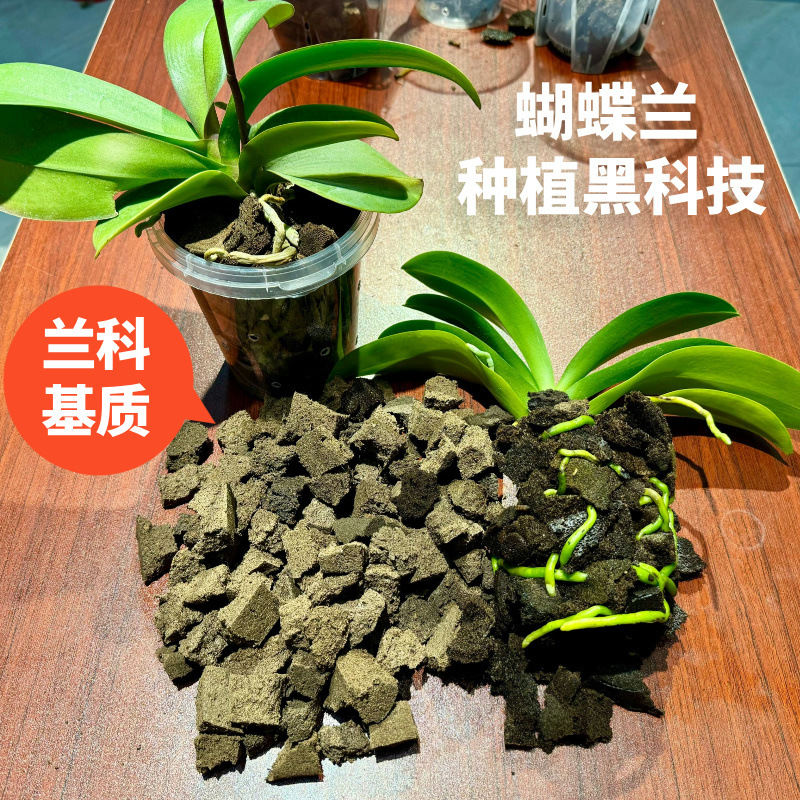 蝴蝶兰营养土基质碎块植料块养兰花石斛绿植泥炭土透气防烂根
