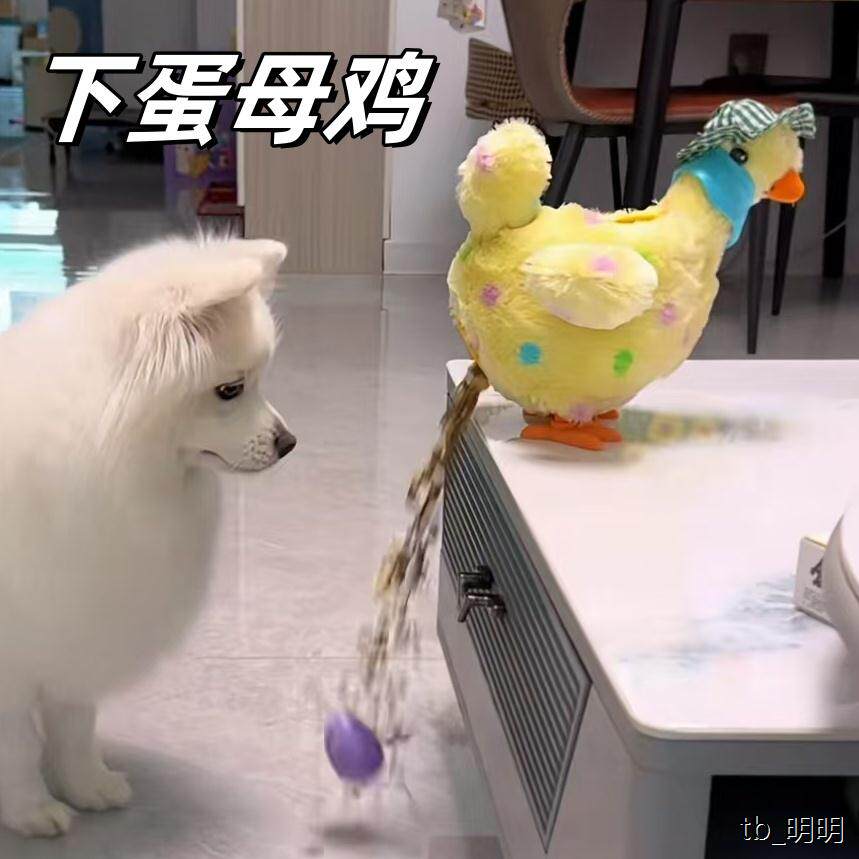 仿真下蛋鸡玩具小鸡儿童宝宝宠物解压神器电动毛绒玩具公仔礼物