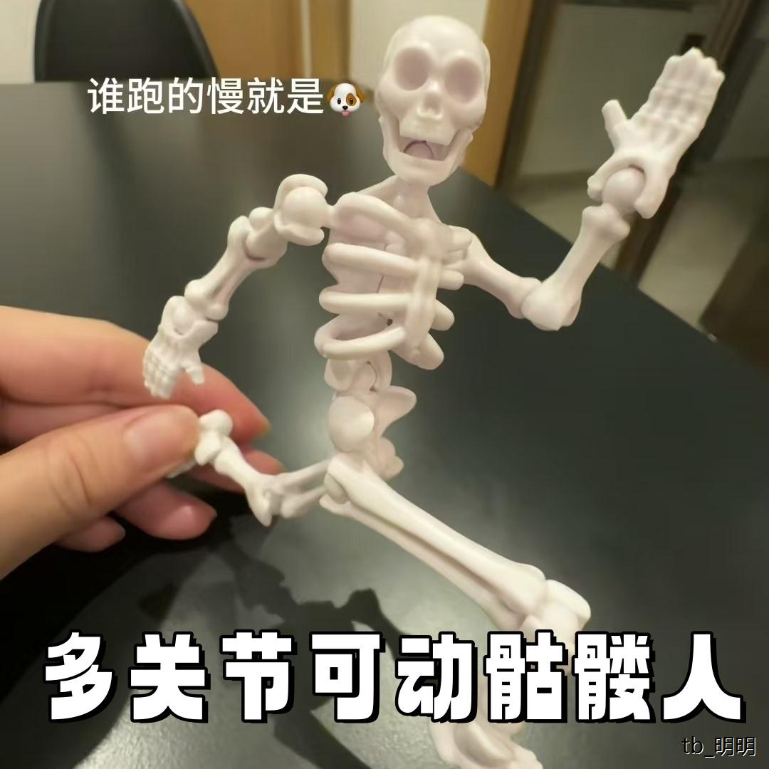 骷髅骨节拼装人偶多关节