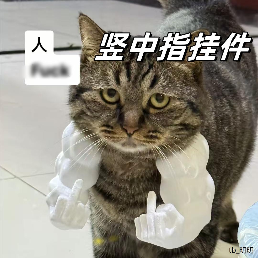 3d打印猫咪竖中指绿巨人
