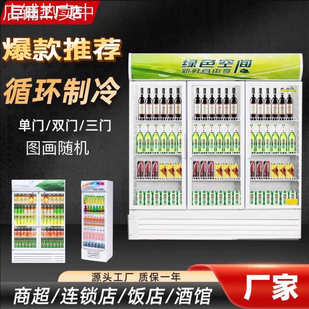 双门立式商超饮料啤酒直冷风冷冰箱冷冻柜保鲜冷藏展示柜冰柜商用