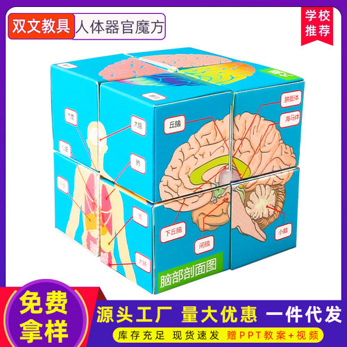 科学实验DIY认识人体器官魔方幼儿童手工学生科技小制作教具材料