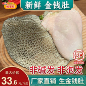 新鲜金钱肚 鲜蜂窝肚优质大块金钱肚商用火锅食材生鲜黄牛肚含8.5