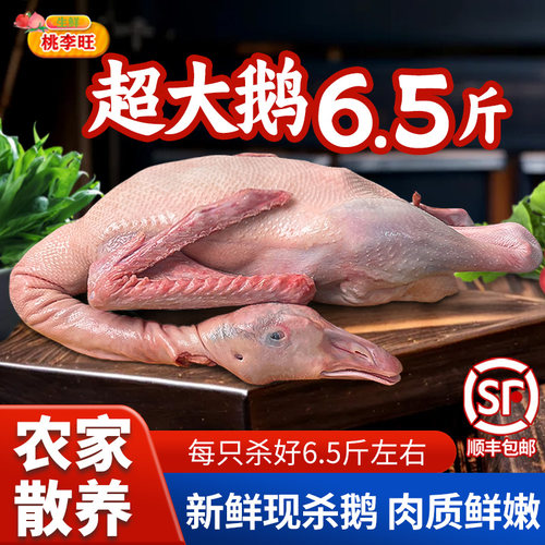 鹅肉新鲜现杀老鹅约6.5斤