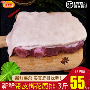 梅花鹿排 冷冻成年鲜带骨鹿肉生鲜火锅烧烤食材 新鲜现杀带皮鹿排