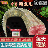 新鲜鳄鱼尾 鲜活宰杀鳄鱼肉养殖鳄鱼尾肉整条现杀鳄鱼肉鳄鱼尾4斤