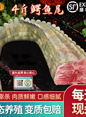4斤新鲜鳄鱼尾巴现杀整条鳄鱼肉