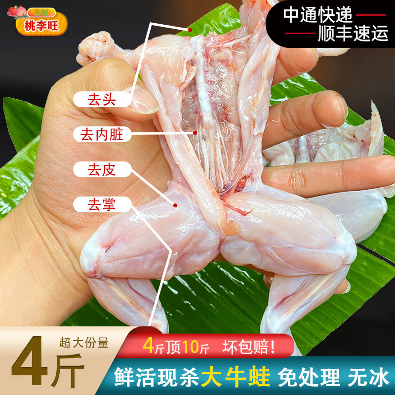 【10斤】牛蛙鲜活体冻蛙新鲜冷冻麻辣大牛蛙火锅烧烤食材牛蛙肚