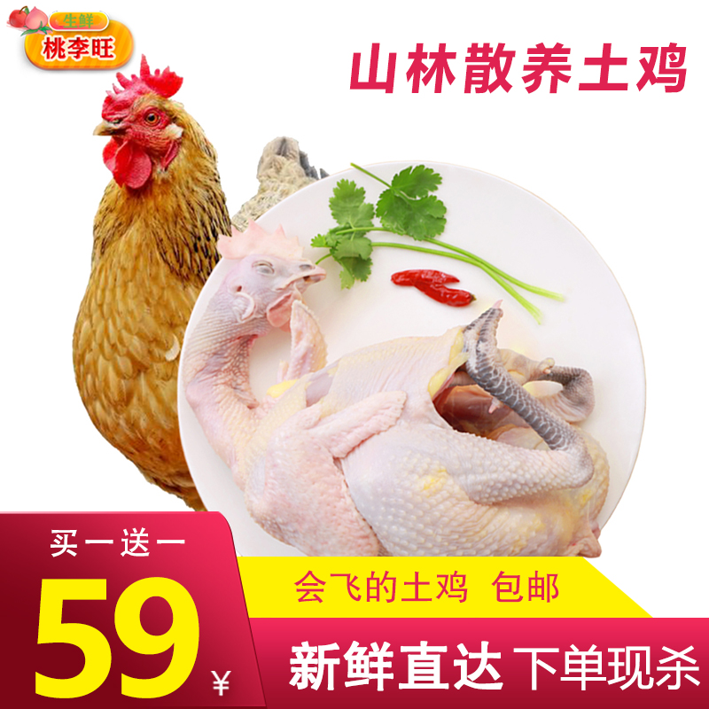 活体现杀老母鸡散养土鸡整只