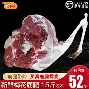 梅花鹿腿 冷冻成年鲜带骨鹿肉生鲜肉食带蹄子腿肉 新鲜现杀鹿腿